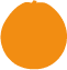 icono de una naranja